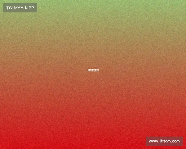 公路赛是啥意思